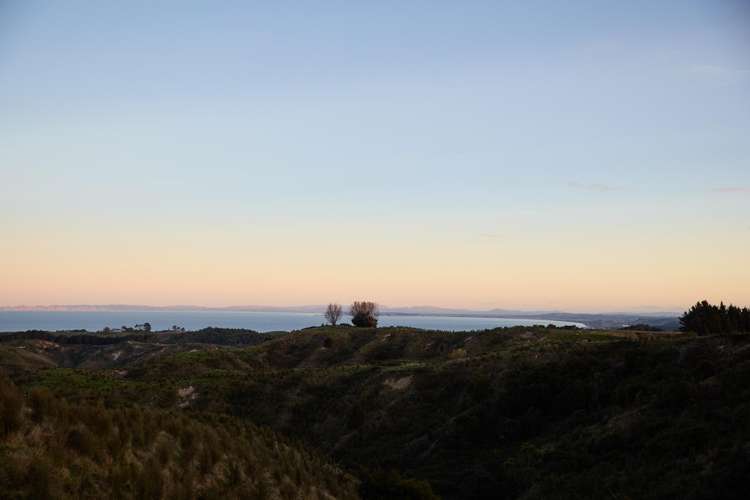 358 Tangoio Settlement Road Tangoio_25