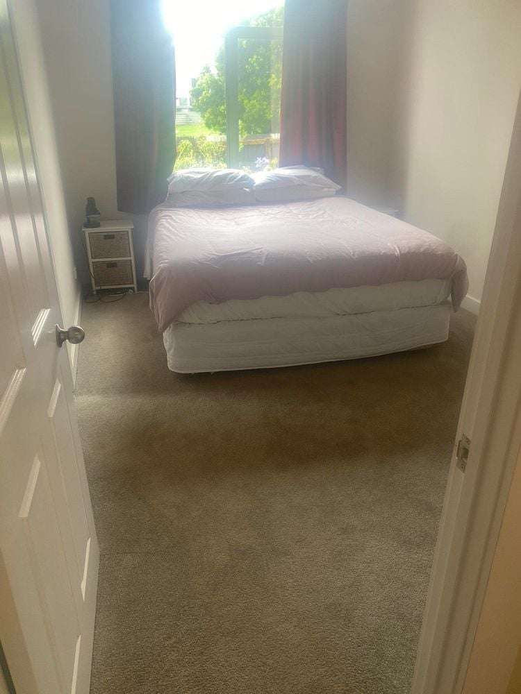 24B Walker Street Waihi_18