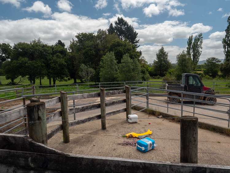 75 Spence Road Waihi_11