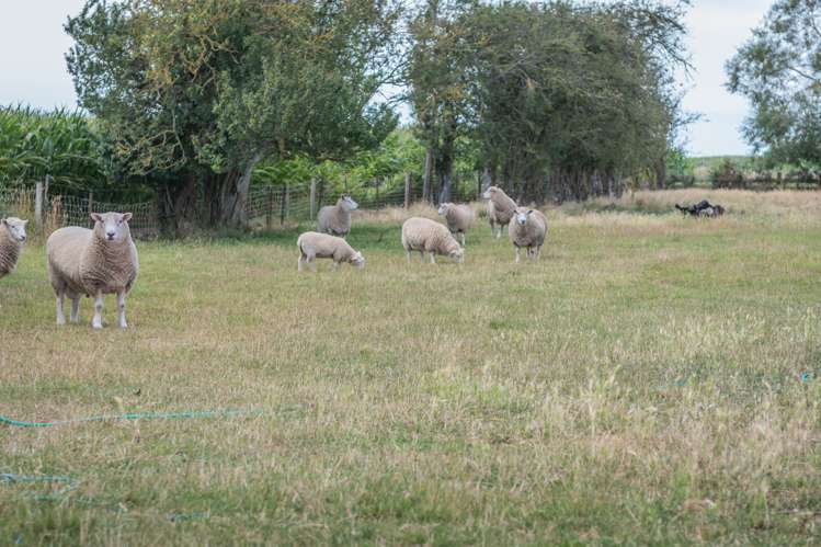 30 Wheatstone Road Ashton_20