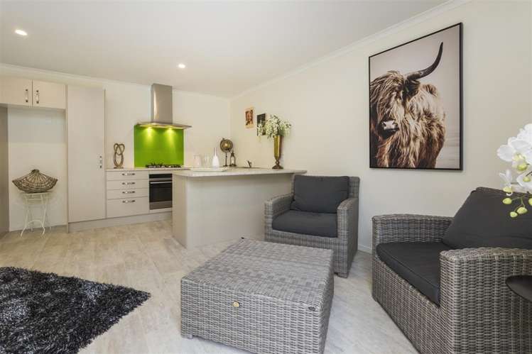 15d Aitken Street Bulls_2