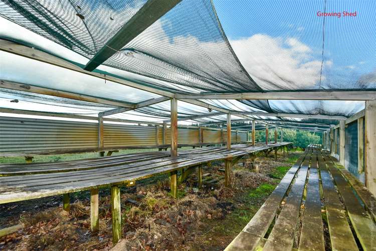 465 Leeston Road Springston_22