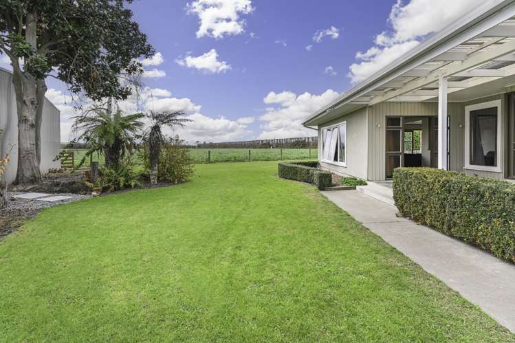 60 Evenden Road Tomoana_5