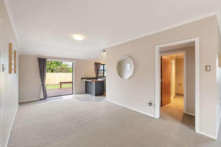 74 Lincoln Street Ashhurst_21