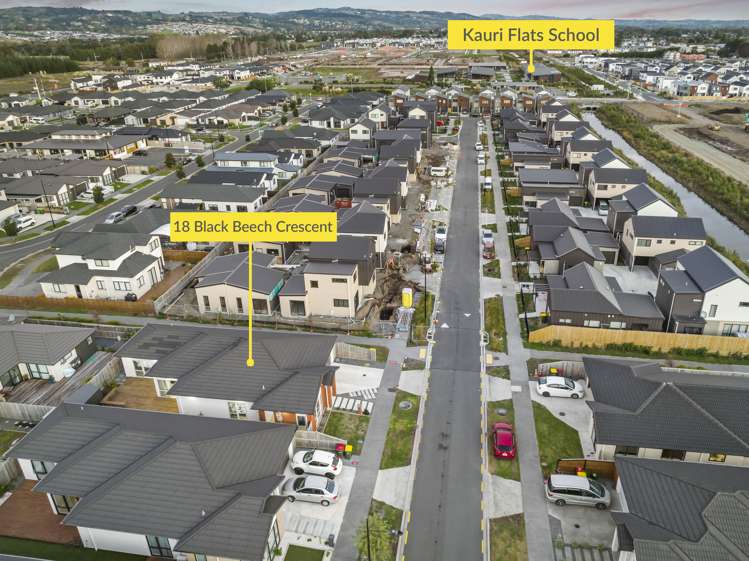 18 Black Beech Crescent Takanini_23