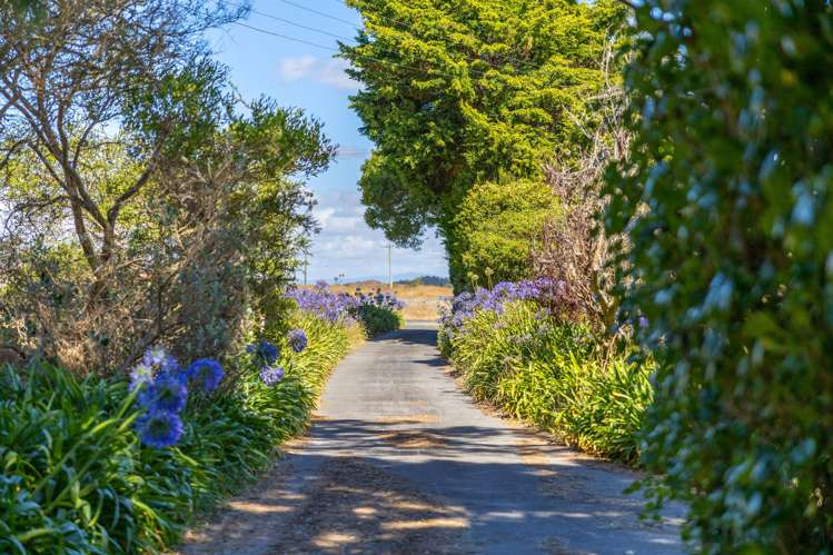 598 Raumai Road Bulls_32