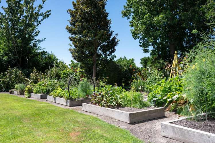 438 Twyford Road Twyford_26