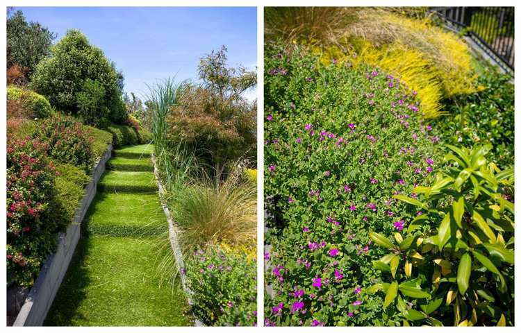 3 Kissling Terrace Pyes Pa_30