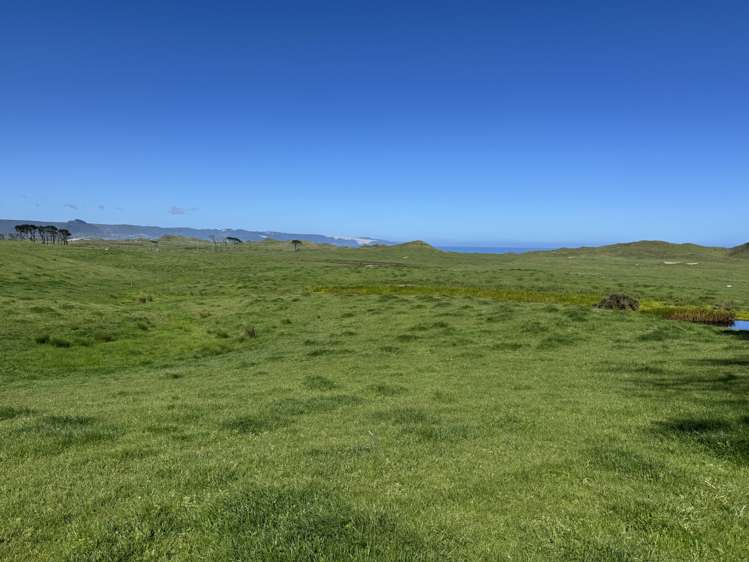 Sandhills Road Ahipara_9