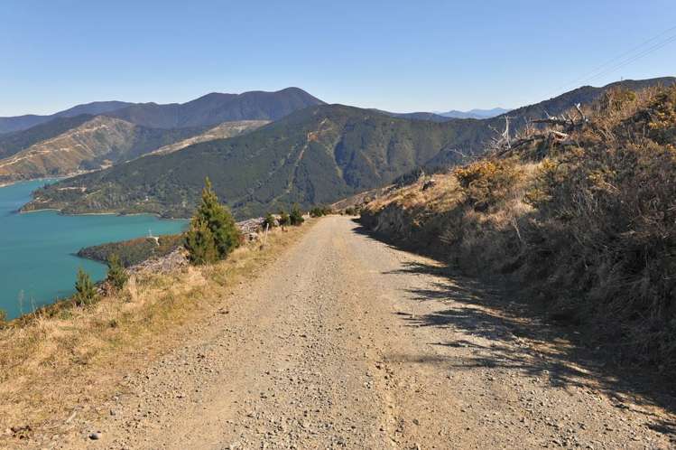 465 Tumbledown Bay Road Port Underwood_17