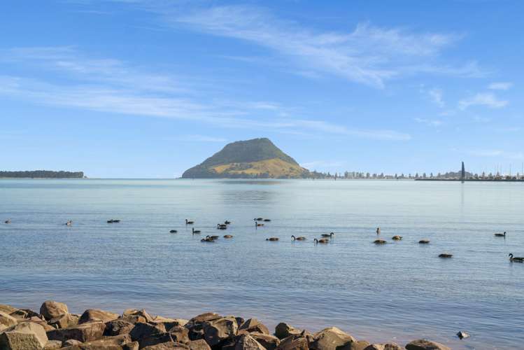 4 Kulim Avenue Otumoetai_18