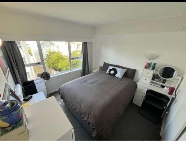 272 The Terrace Te Aro_3