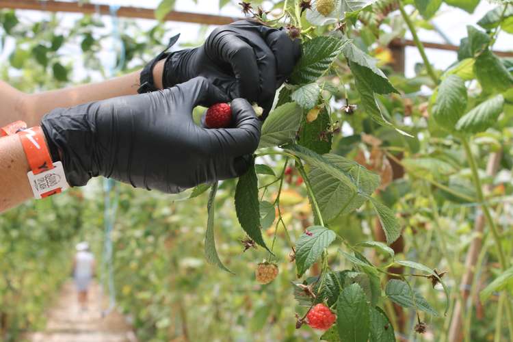 162 Pukeatua Road Maungatapere_16