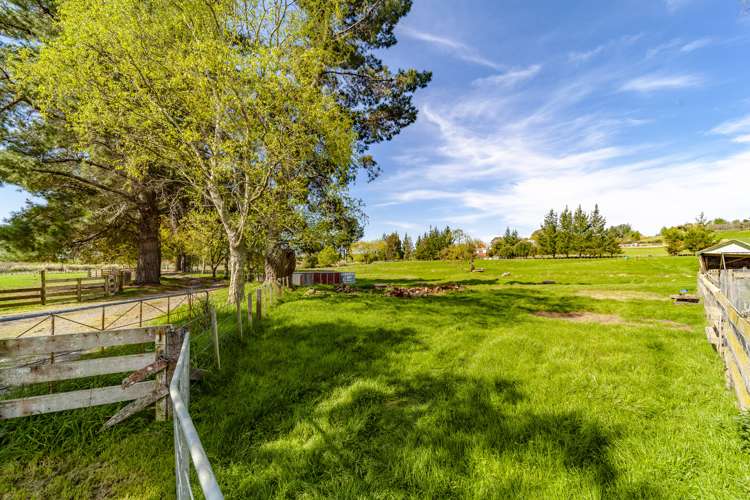 86 Tod Road Otane_18