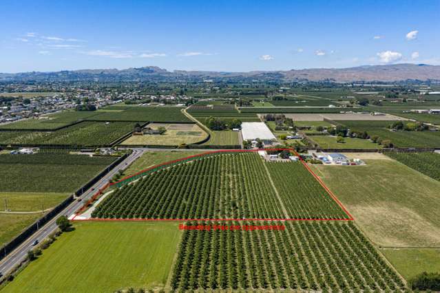 Orchard, shedding AND house on town boundary