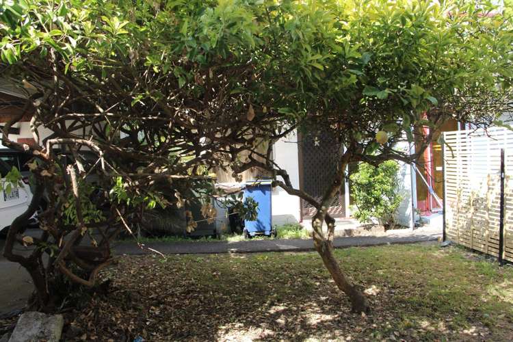 5/48 Mcleod Road Henderson_9