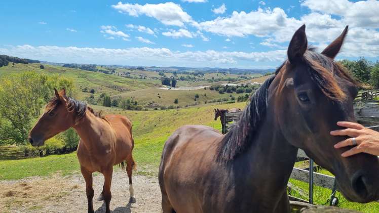 217 Underwood Road Wellsford_13