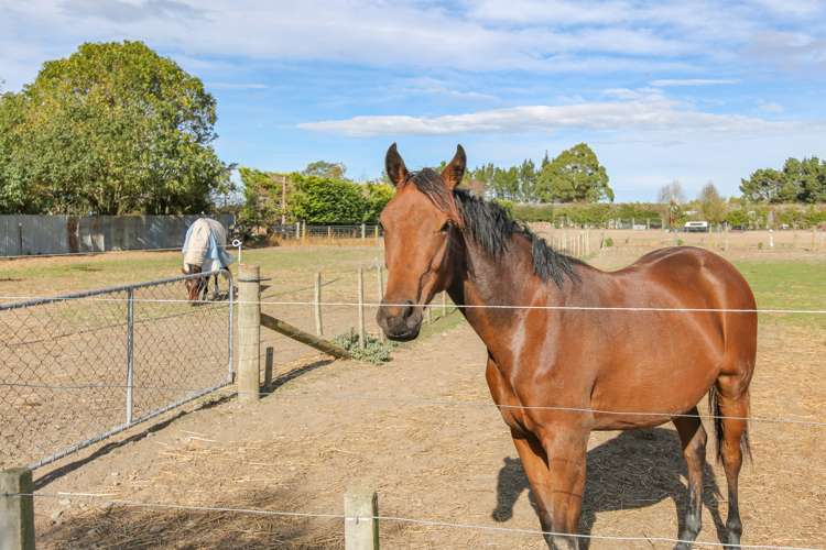 5 Strathmore Road Dunsandel_25