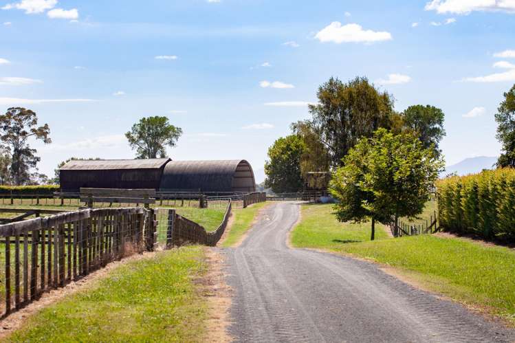 4602A State Highway 29 Matamata_10