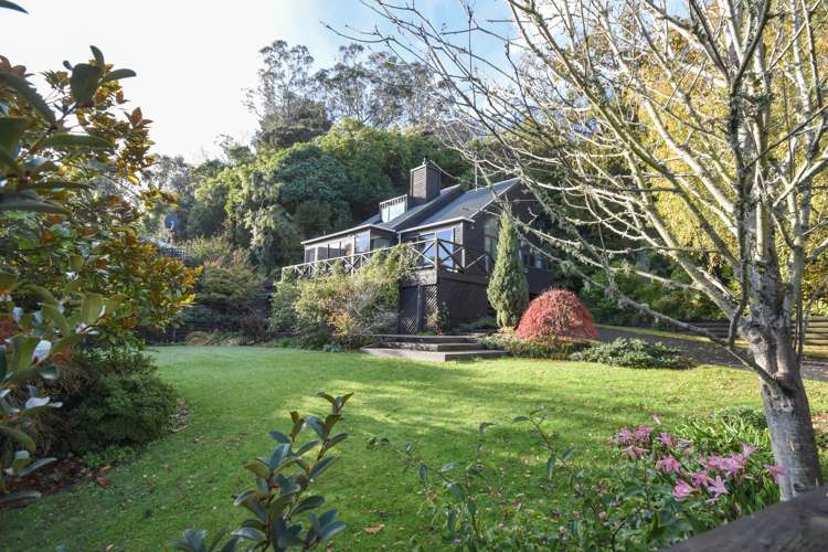 23 Every Street Andersons Bay_27