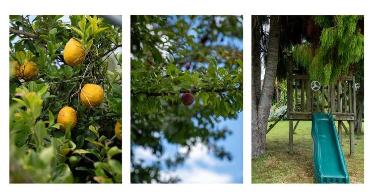 143 Forrester Drive Welcome Bay_20