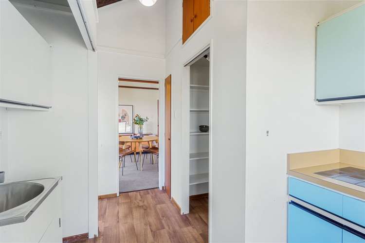 155 Major Hornbrook Road Mount Pleasant_16