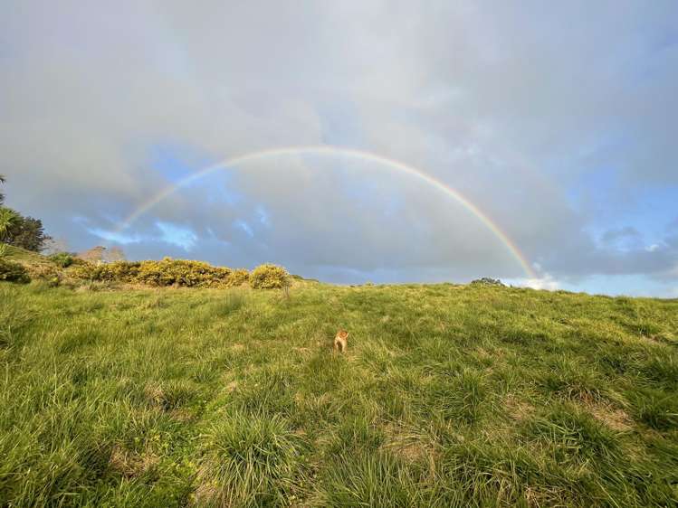 852 Oneriri Road Kaiwaka_51