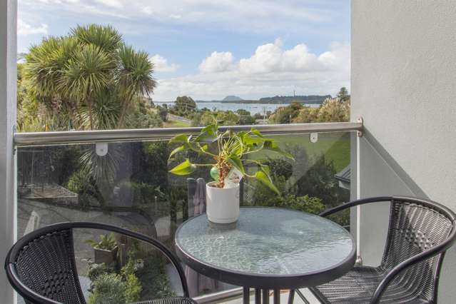 28 Owen Place Omokoroa_2