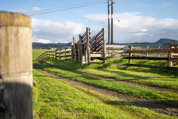 7221 State Highway 1 Pakaraka_19