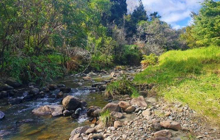 Wekaweka Road Waimamaku_16