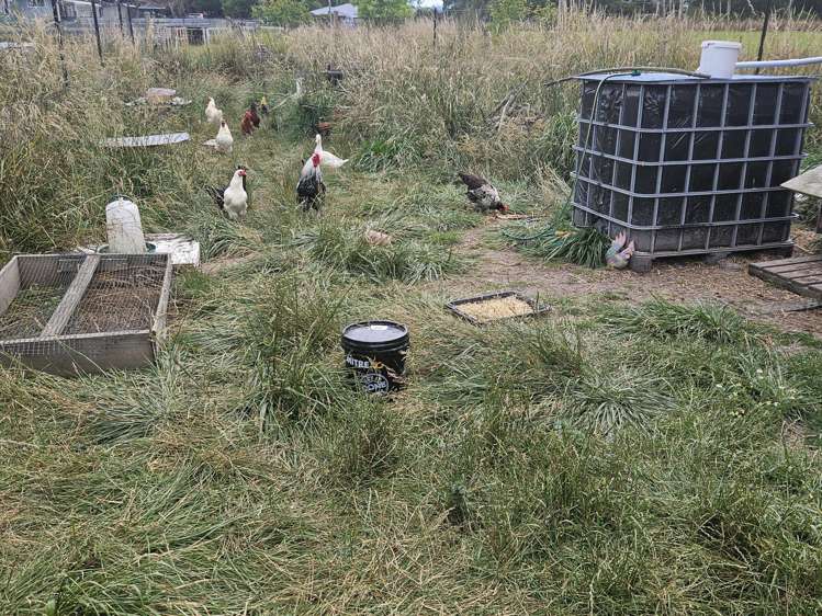 Middle Street Reidston_10