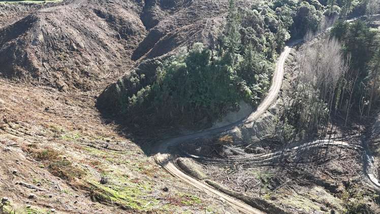 Waireka Road Papaiti_8