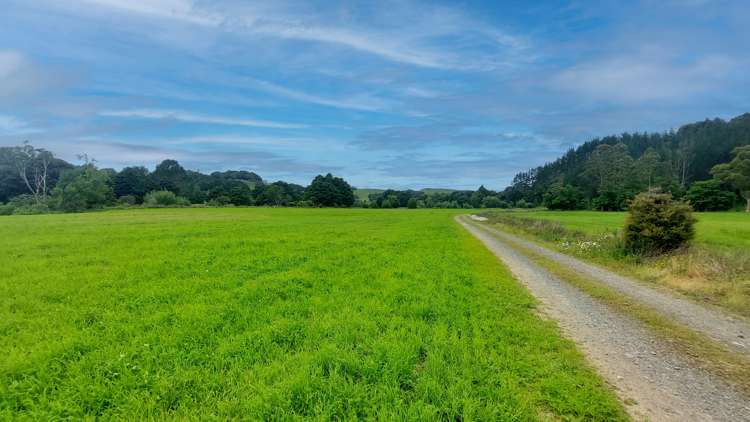 10 ha Peach Orchard Road Whakapara_26