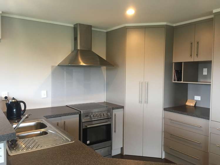 216 Cameron Road Morrinsville_5