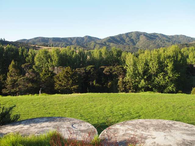 402b King Road Mangawhai_4