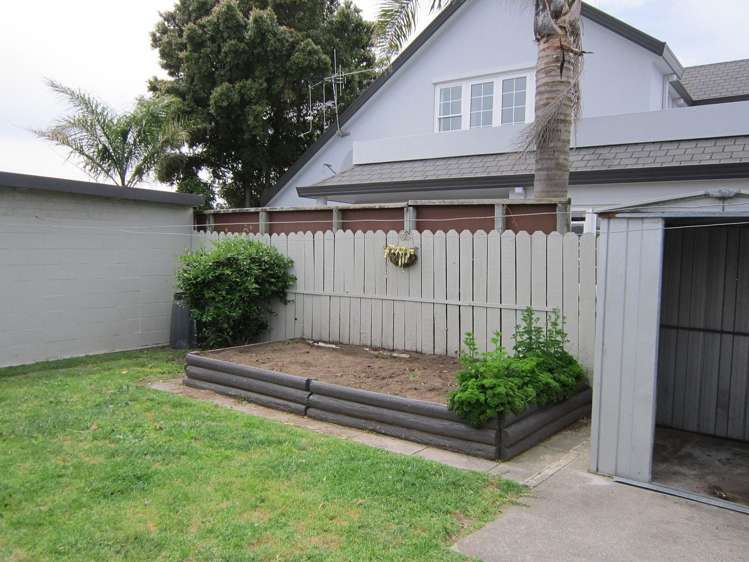 46 Concord Avenue Mount Maunganui_5