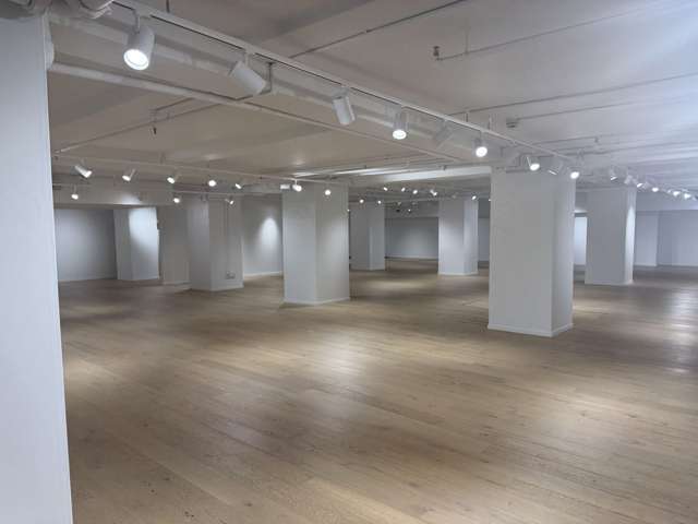 210 Queen Street Auckland Central_1