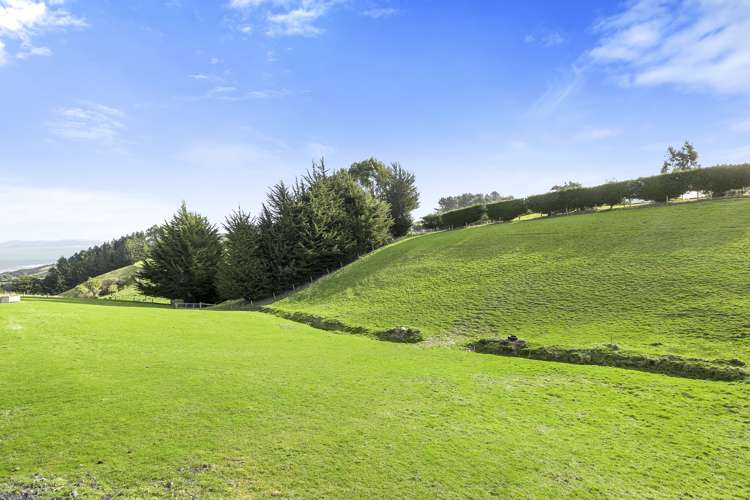 15 Green Island Bush Road Blackhead_17