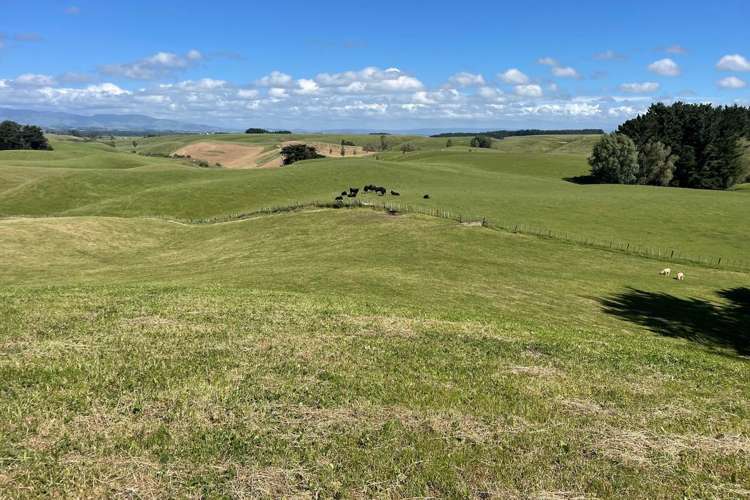 1397 Makino Road Halcombe_16