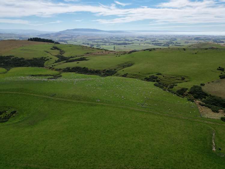 124 Strathearn Road Wairuna_3