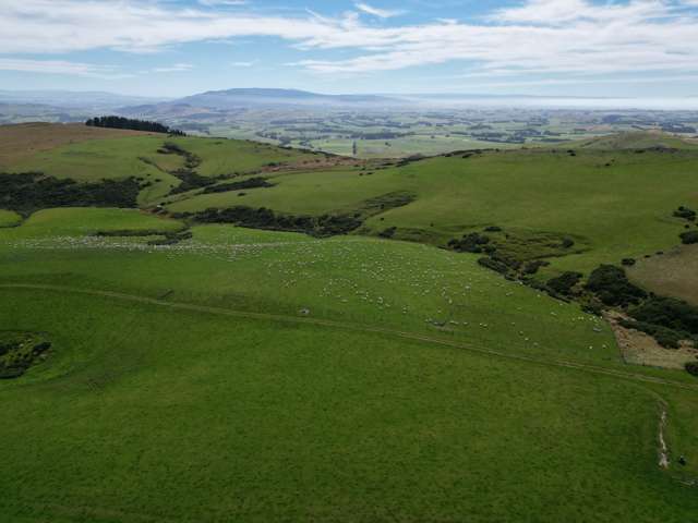 124 Strathearn Road Wairuna_3
