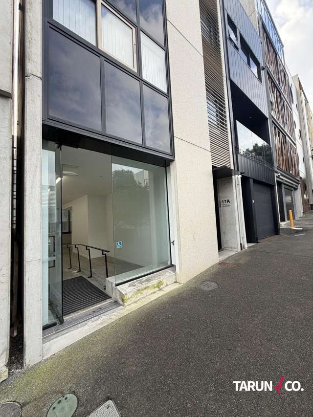 17A Crummer Road Grey Lynn_2
