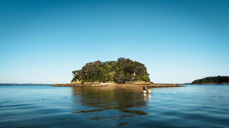 40 Rothschild Terrace Waiheke Island_10