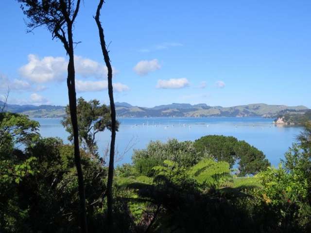 622 Wyuna Bay Road Coromandel_2