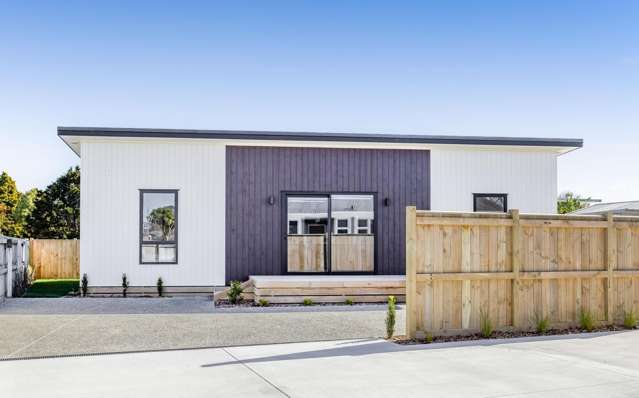 20a Pukatea Street Inglewood_2