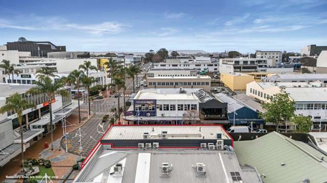 136 Willow Street Tauranga Central_3