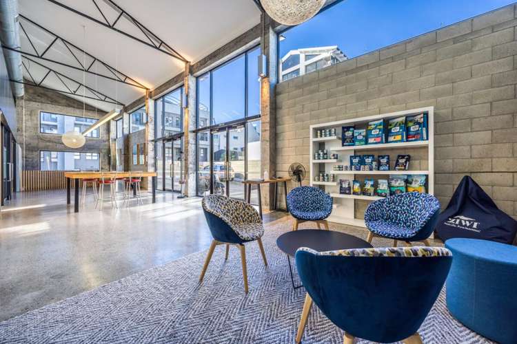 5 Eglon Street Parnell_4