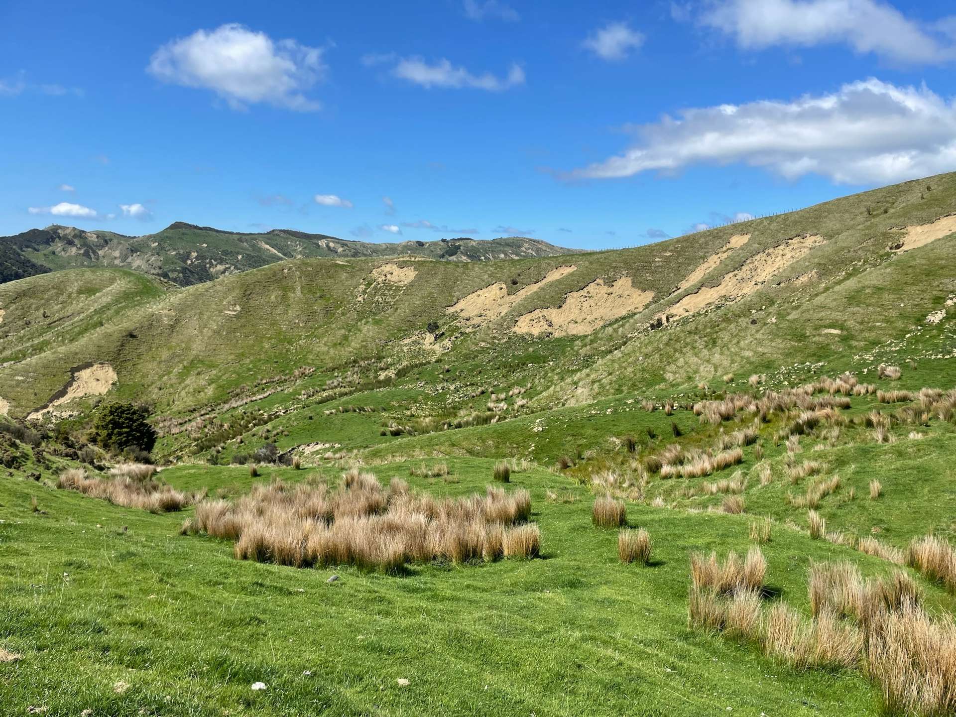 384 Waikakahi Road Pongaroa_0