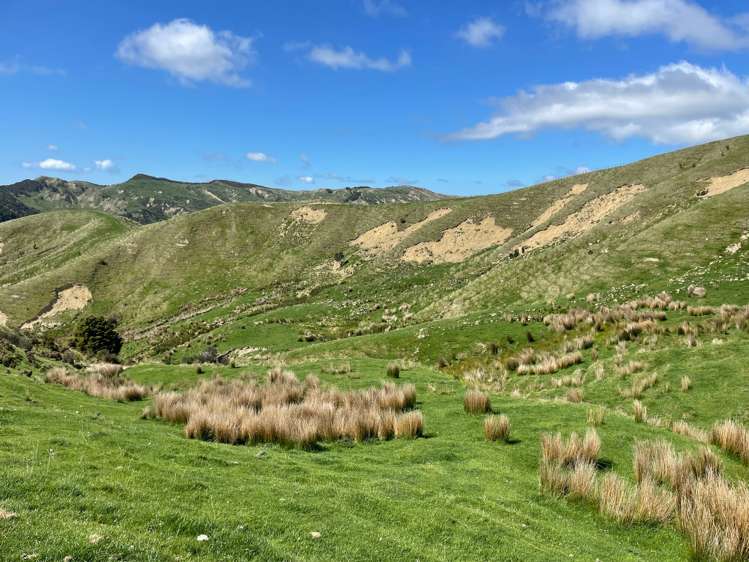 384 Waikakahi Road_0