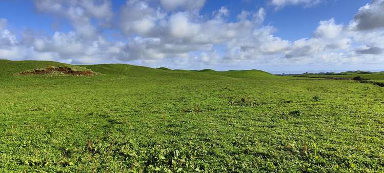 Parihaka Road Pungarehu_13